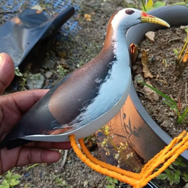 DECOY WAK2 โฟม EVA**