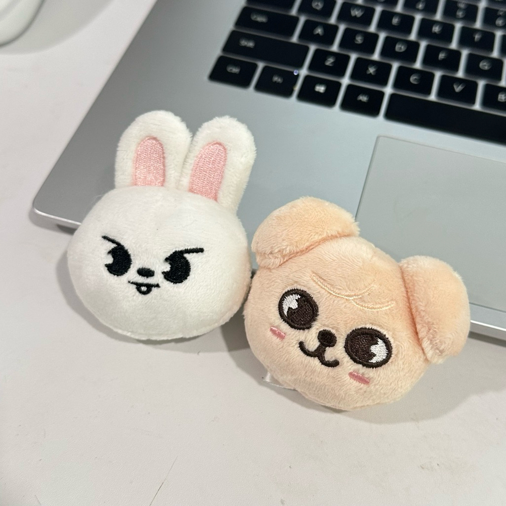 STRAY KIDS LEEKNOW SEUNGMIN SKZOO LEEBIT PUPPYM MAGNET