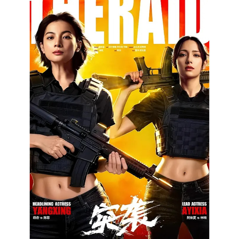 C-DVD: Raid (2026) (ดีวีดี)