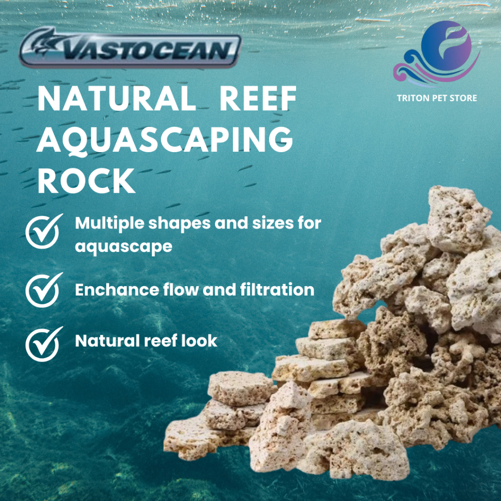 VASTOCEAN Natural Live Rock 1KG Batu karang Akuarium fishing Dailtai Aquascape Aquarium ถังน้ําจืดทางทะเล