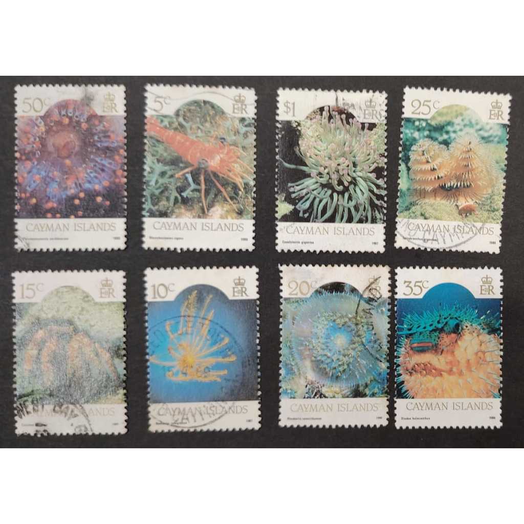 Cayman Islands , 1986 Marine Fauna, USED, LOOSE STAMP 8 PIECE เท่านั้น!