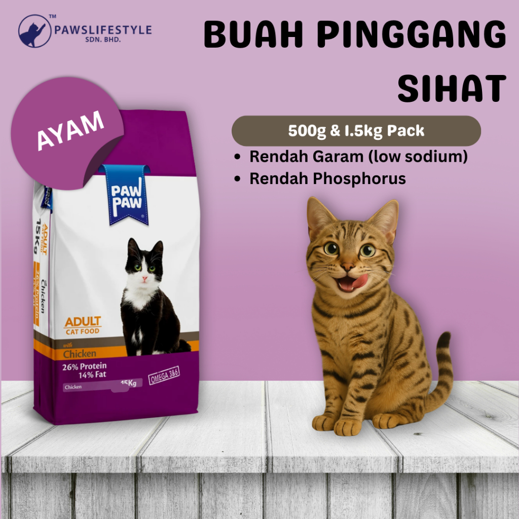 HALAL Paw CHICKEN อาหารแมว – RENDAH GARAM อาหารแมวแบบแห้ง 500g/1.5kg - PAWSLIFESTYLE