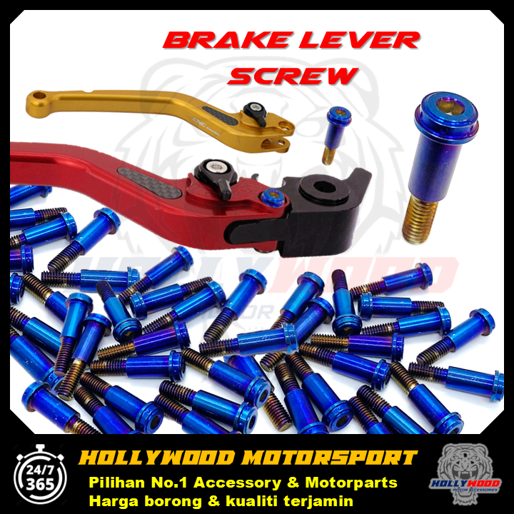 UNIVERSAL BRAKE LEVER SCREW TITANIUM สําหรับ LC Y15 RSX R15 VF3I NVX NMAX SRL EGO AVANTIZ KRISS EX5 