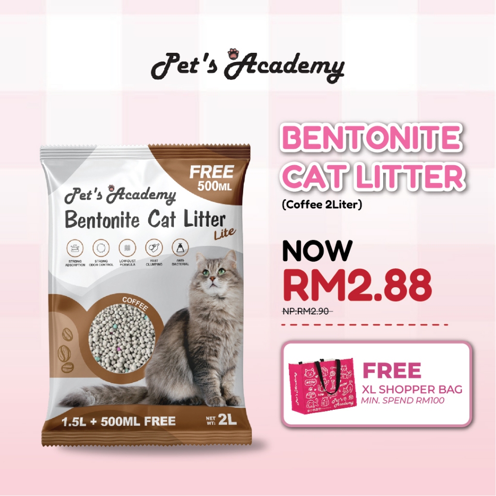 PET KUTUNGS ACADEMY Coffee Bentonite Cat Litter 2L Fast Clumping, Low Dust Coffee Cat Litter, Anti-ก
