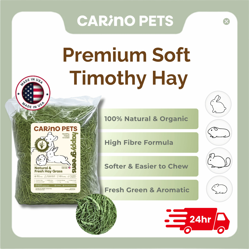 [24HR SHIP] PREMIUM SOFT TIMOTHY HAY นําเข้า Timothy Alfalfa Orchard Lucerne Hay กระต่าย Guinea Pig 