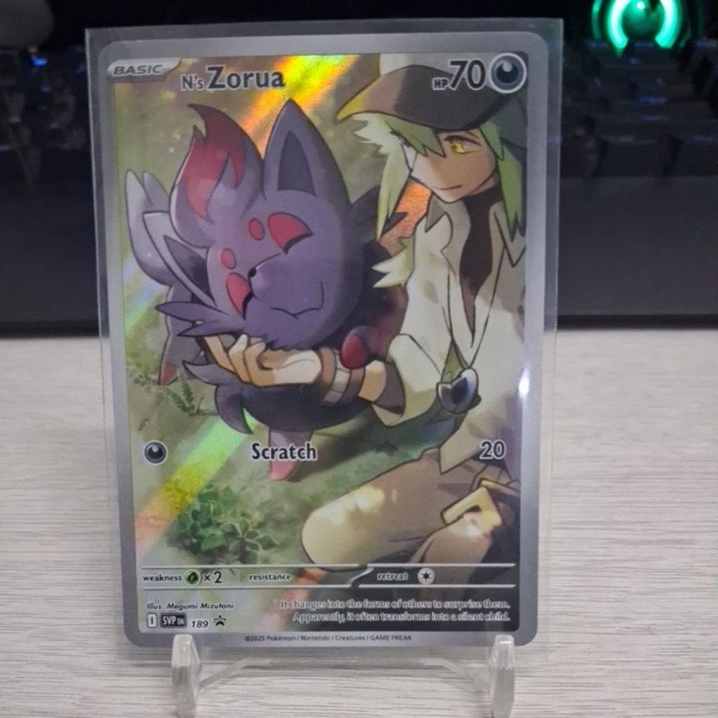 Pokemon TCG Ns Zorua (IR)