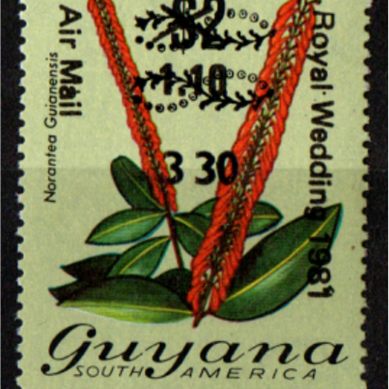 Guyana 1982 330c บน $2 บน $1.10 Overprint "ROYAL WEDDING 1981"