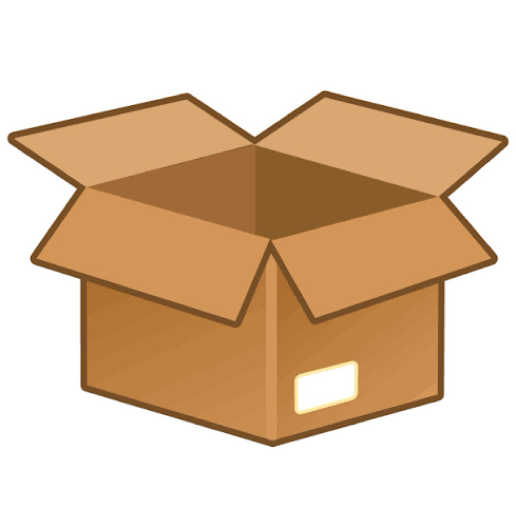 Extra Box Packaging*