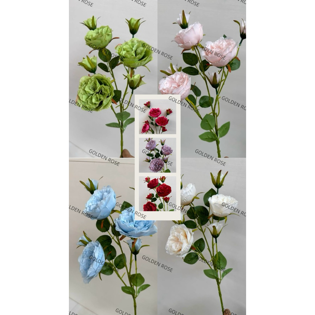 🇲🇾Austin Peony Rose 7Head Austin Rose Flower x7Flower