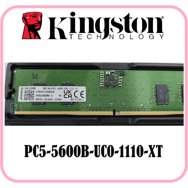 [ใช้แล้ว] KINGSTON/SK HYNIX/SAMSUNG 8GB DDR5 5600MHz LONGDIM RAM