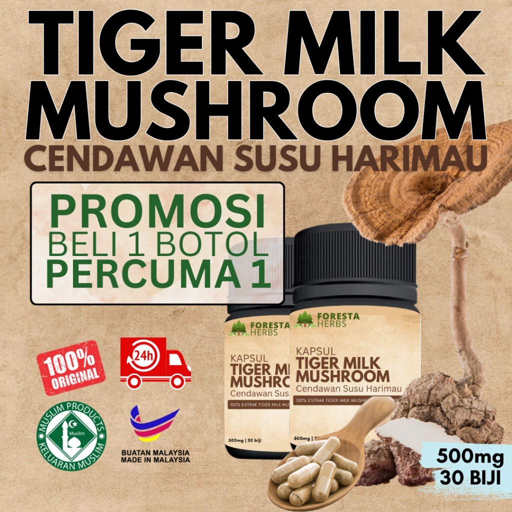 [BELI 1 PERCUMA 1] TIGER MILK MUSHROOM Cendana Susu Harimau Kapsul 500mg
