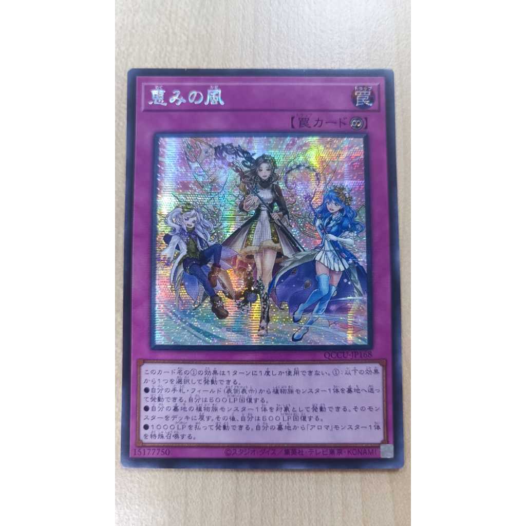 YUGIOH Blessed Winds QCCU-JP168 (SE) OCG การ์ดเดี่ยว