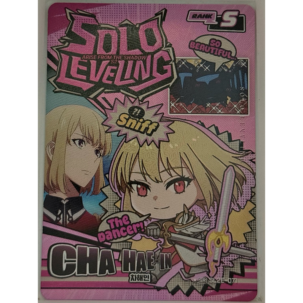 [S.LEEVELING Mapniverse]/[ChaHaeIn]SR ⭐️ SL2E-071 Vol 2