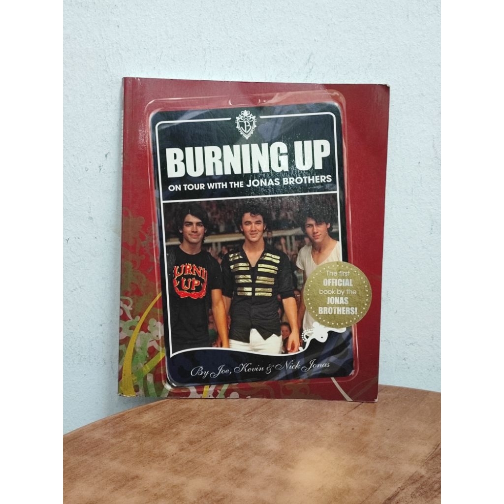 (ENG) Kevin & Nick Jonas - BURNING UP ON TOUR WITH THE JONAS BROTHERS