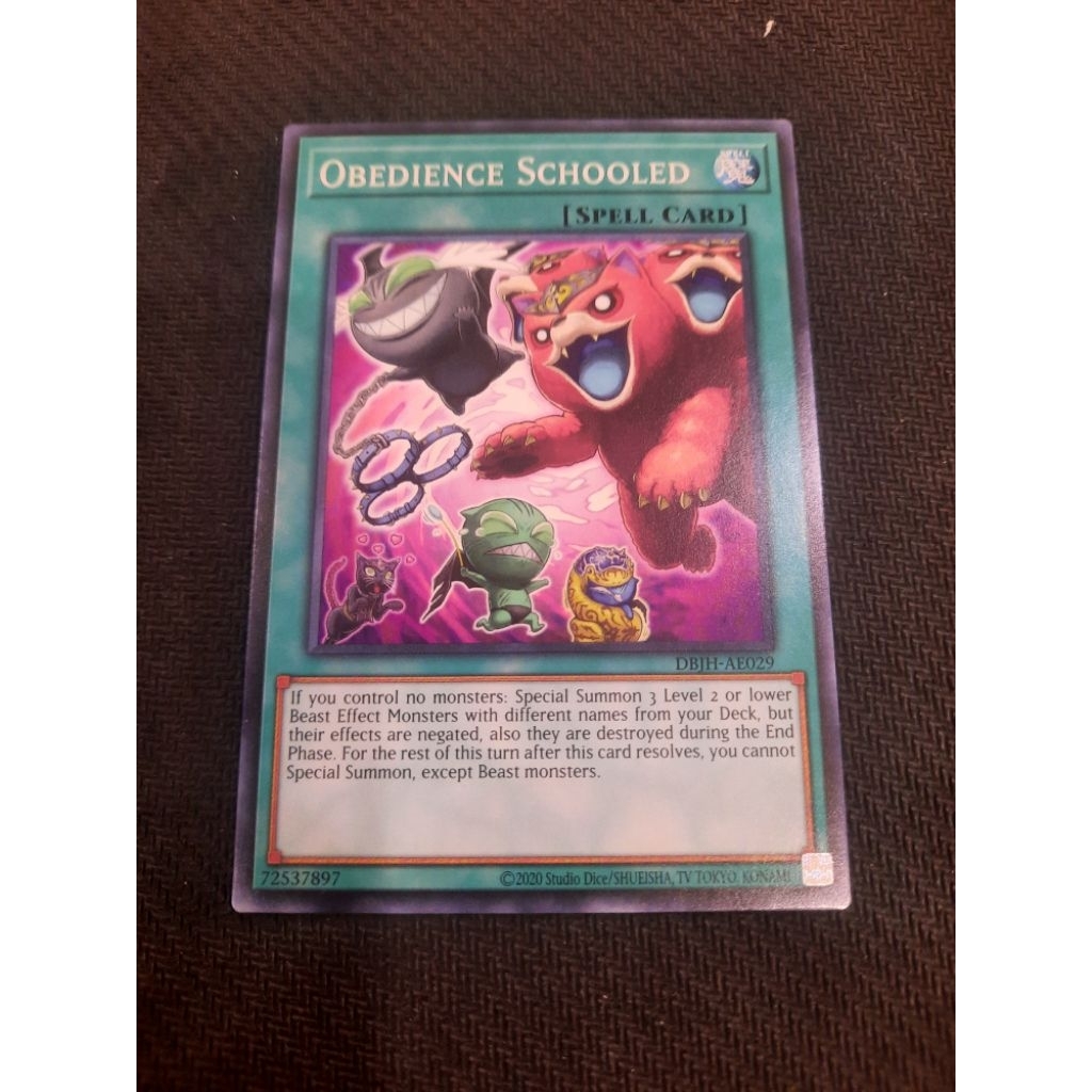 YuGiOh Games王 DBJH-AE029 Obedience Schooled (N)