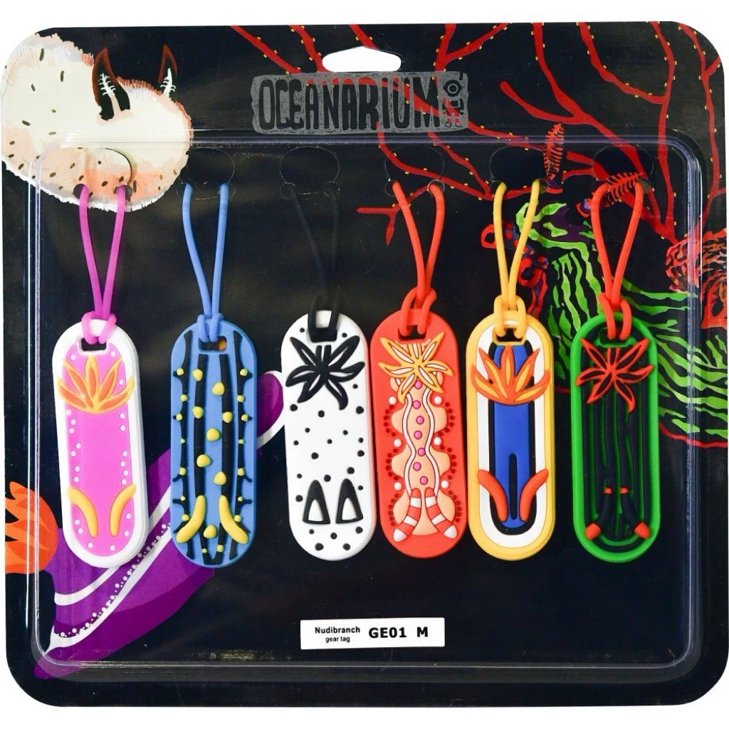 ป้ายอุปกรณ์ Ocenarium Sea Slug