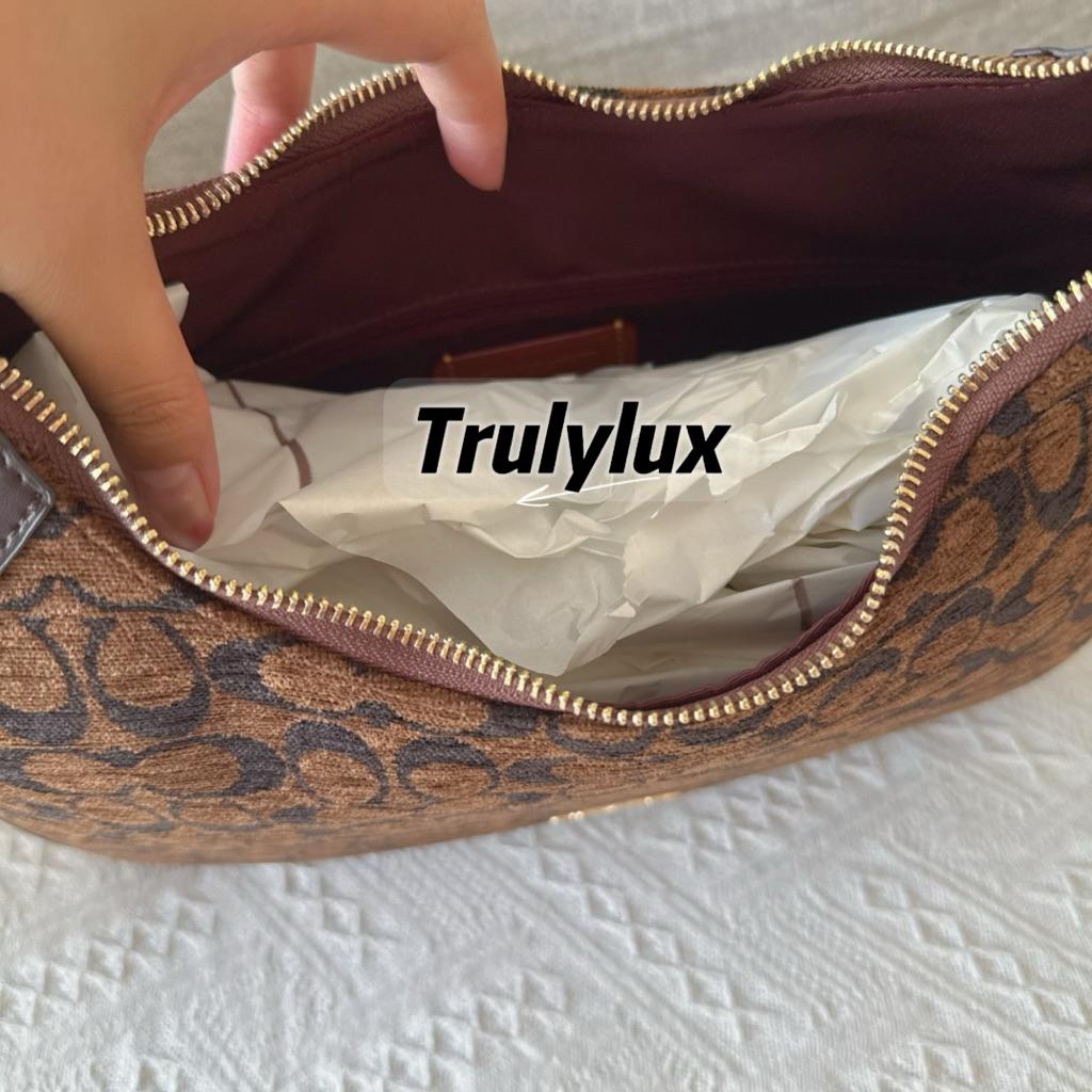 🇲🇾🇺🇸💯 C Ella Shoulder Hobo Brown ~ Fast Arrival