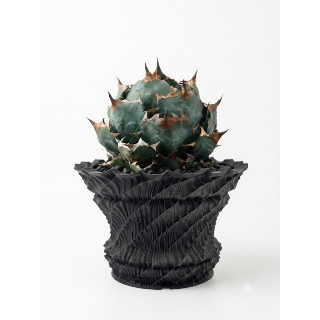กระถางต้นไม้ Phoenix Plume สําหรับ Agave, กระบองเพชร, Caudex & Succulents | ชาวไร่