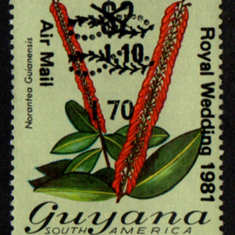 Guyana 1982 $170 บน $2 บน $1.10 Overprint "ROYAL WEDDING 1981"