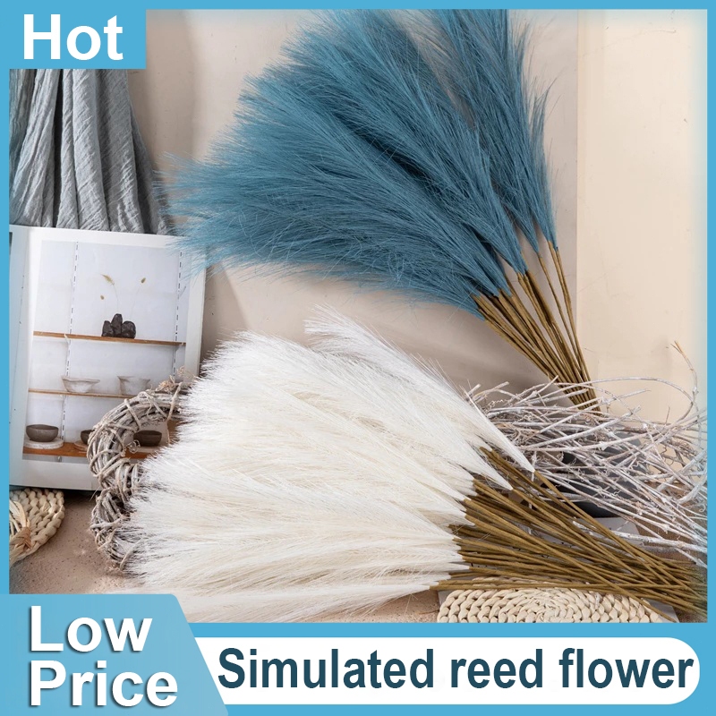 12pcsDried แห้ง Fluffy Pampas หญ้าดอกไม้ที่เก็บรักษาไว้ข้าวสาลีข้าวโอ๊ต Eucalyptus Ugali Bunny Tail 