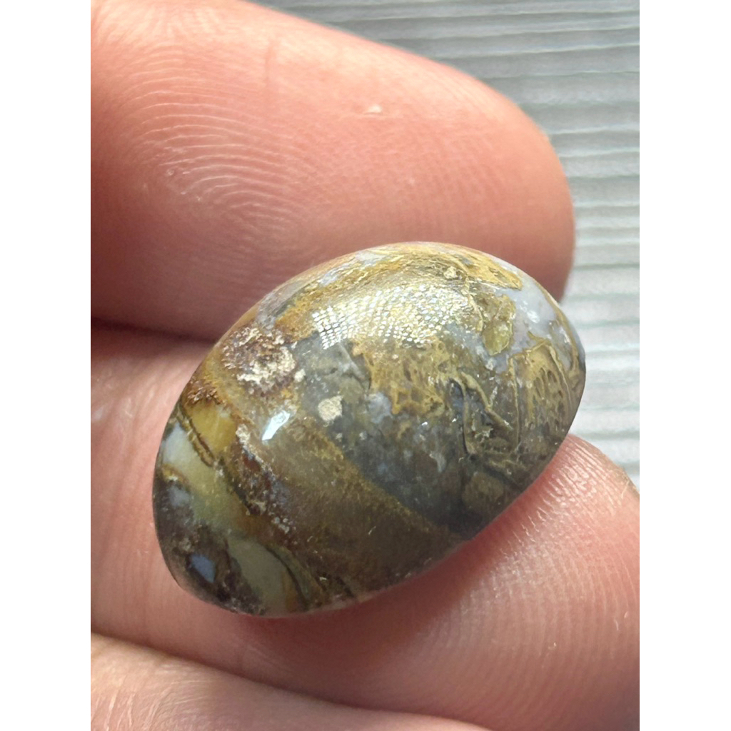 Fossil Sullur Bertam Bekristal Saiz 10Sen