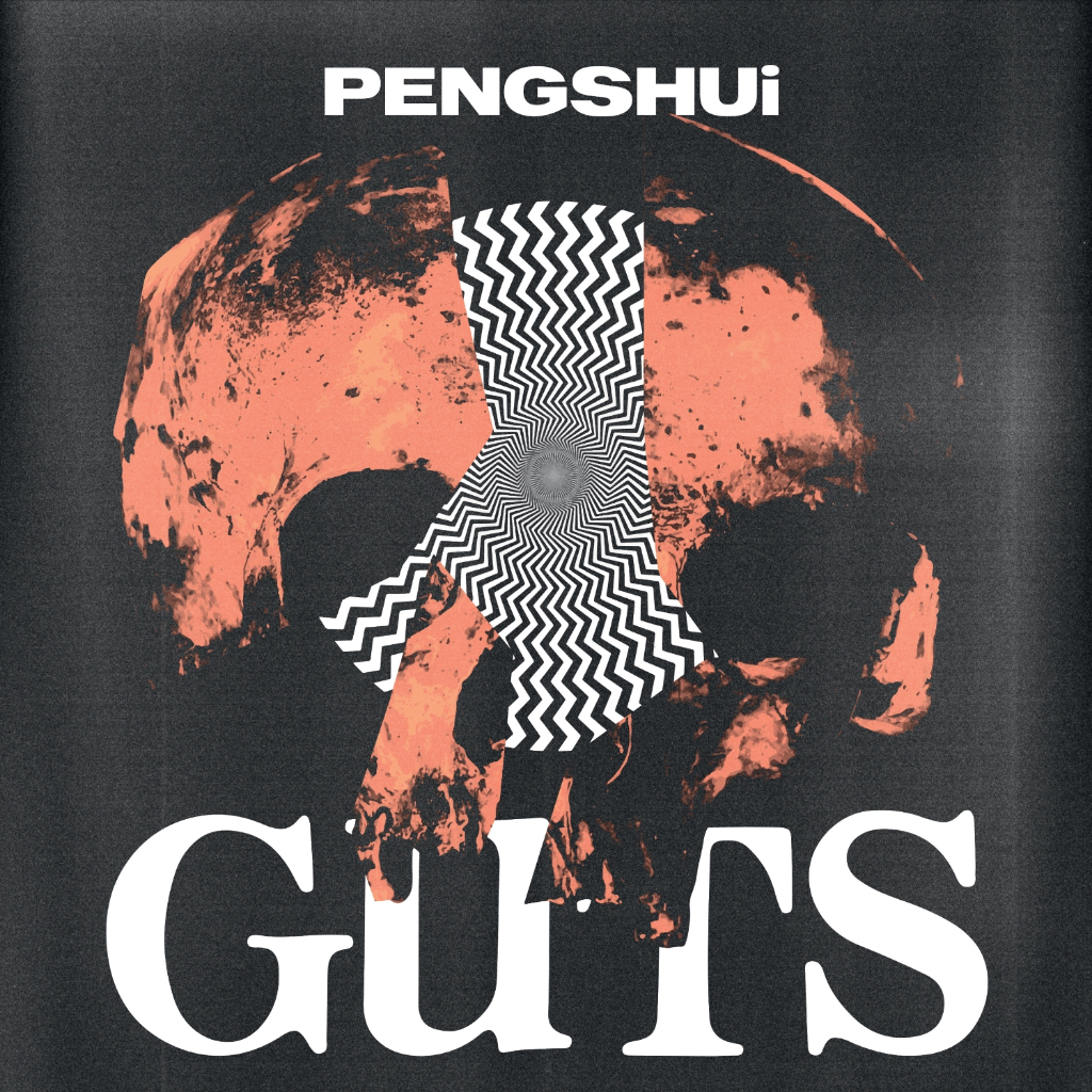 CD-R Enjoy - Guts (2025)