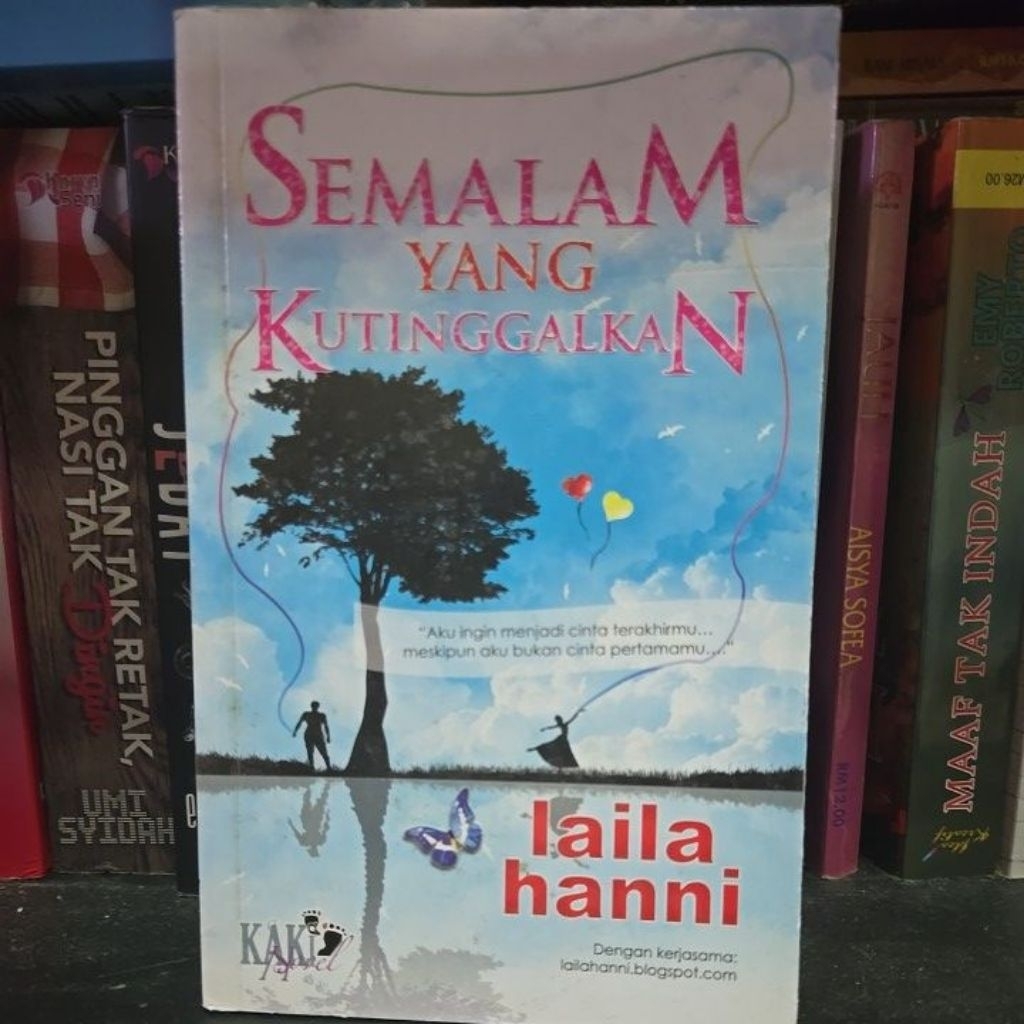 MY OVERNIGHT - LAILA HAMNI