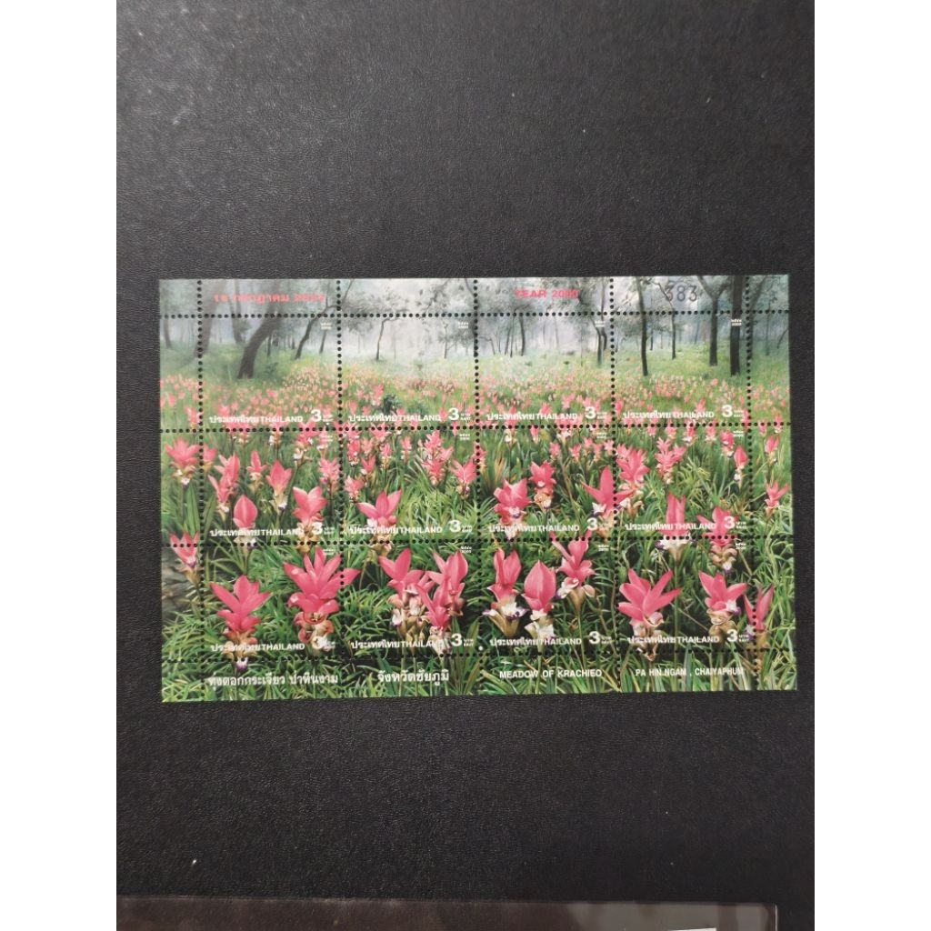 MS44A 2000 แสตมป์ดอกไม้ MS ครบชุดมิ้นต์พร้อมเลขทางอากาศ