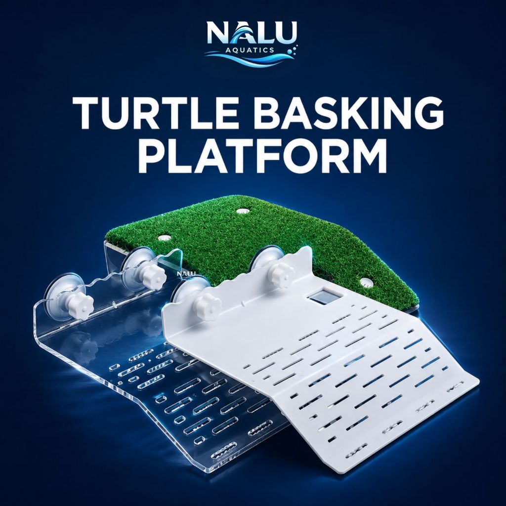 Turtle Basking Platform Turtle Dock Aquarium Turtle Resting Platform Climbing Dock 晒台 巴西西平 NALU