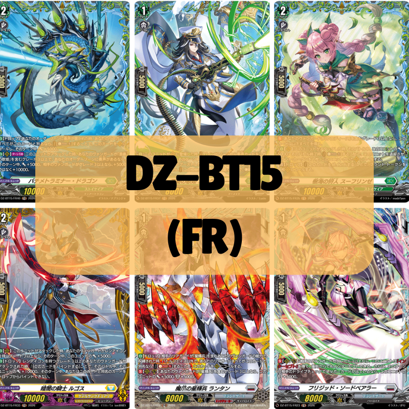 <FR> DZ-BT15/FR01 FR02 FR03 FR05 FR06 FR07 FR08 FR11 FR13 FR14 FR15 FR16 FR18 FR23 FR24 FR33 FR35 FR