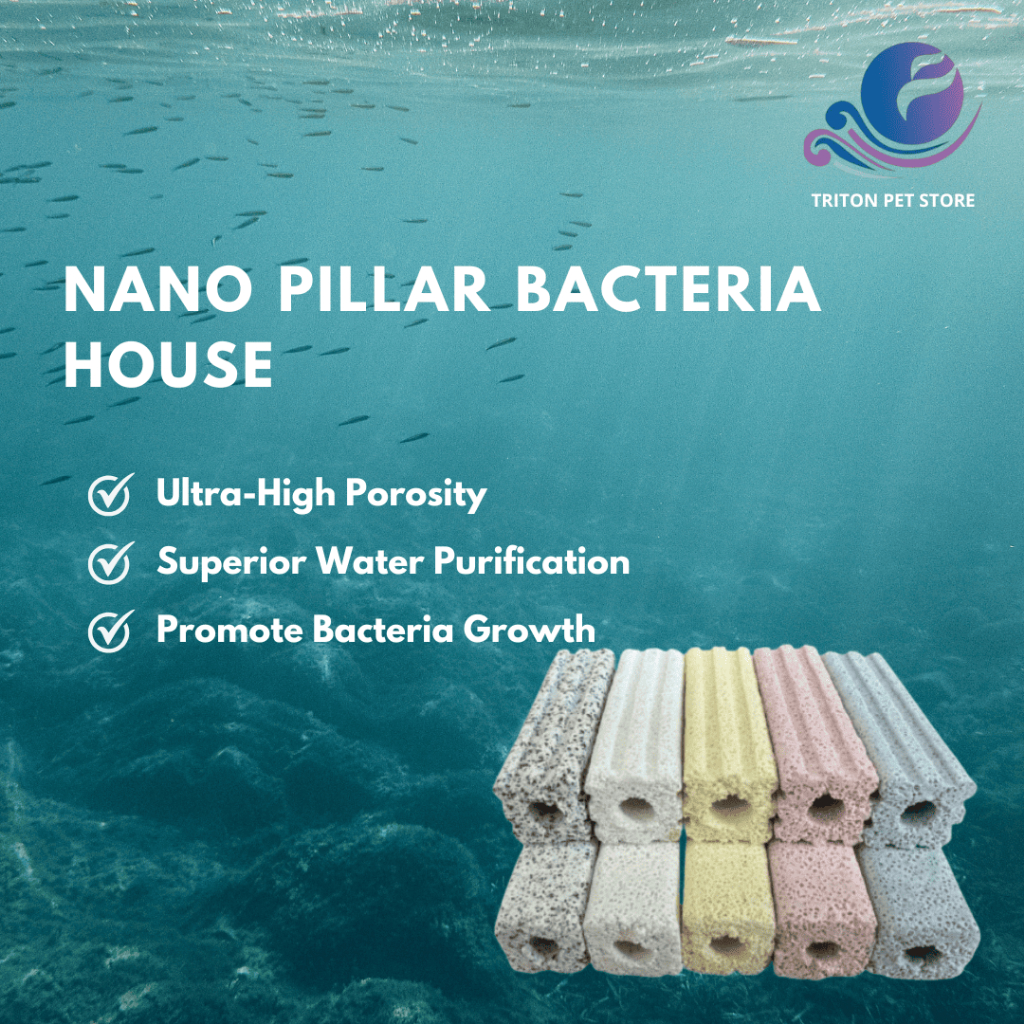 PETERPET Ceramic Bio Filter Media Bacteria House สําหรับปลาพิพิธภัณฑ์สัตว์น้ํา | Media Penapis Bio S