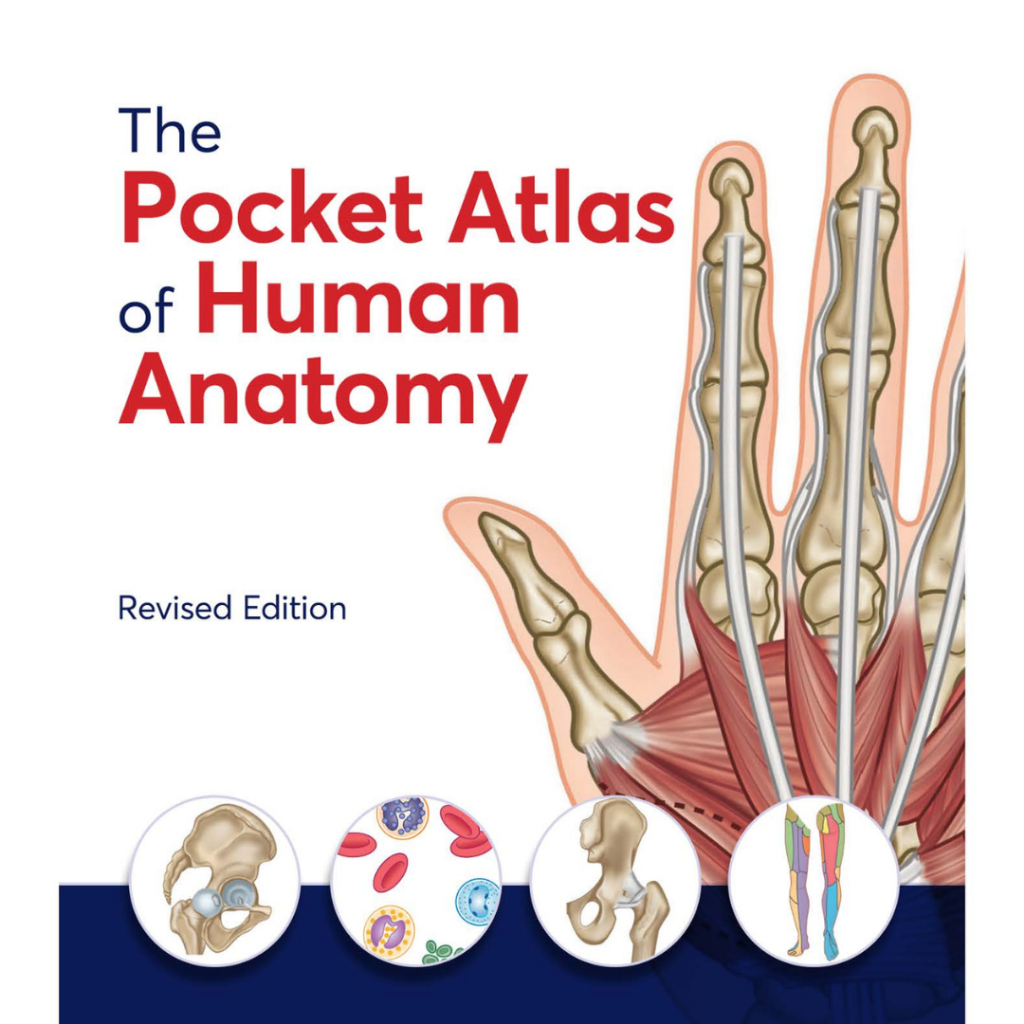 กระเป๋า Atlas of Human Anatomy Revised Edition