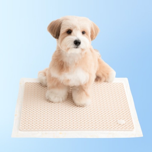 แผ่นซิลิโคน Bite Me Zero Guard