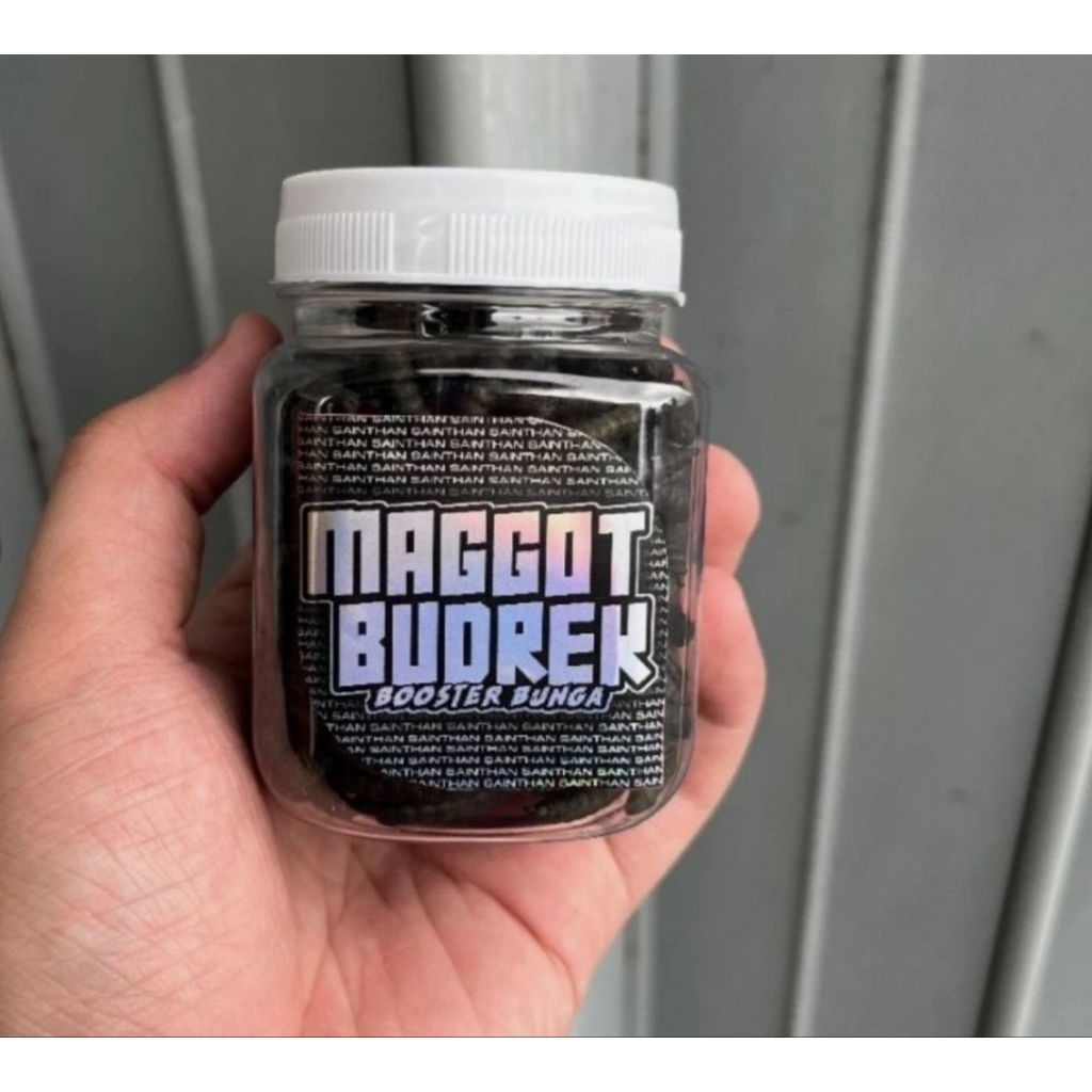 SaintHan Flower Booster Maggot for cabung proges ดอกไม้ แท่งข้น ขยายบาติกใน channa maru