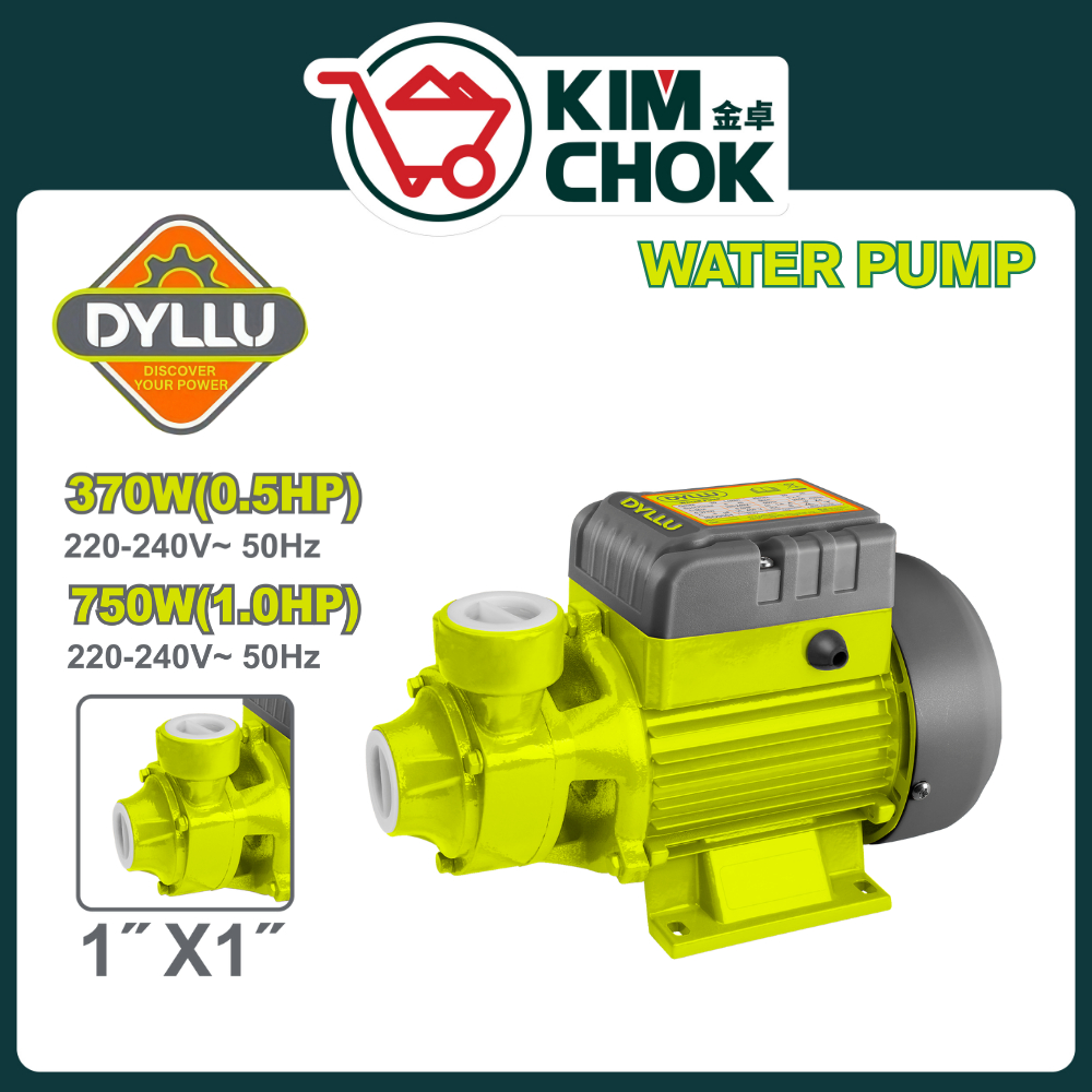 ปั๊มน้ํา DYLLU 370W ( 0.5Hp ) & 720W ( 1.0 Hp ) ( DTWPVA01 / DTWPVA03 )