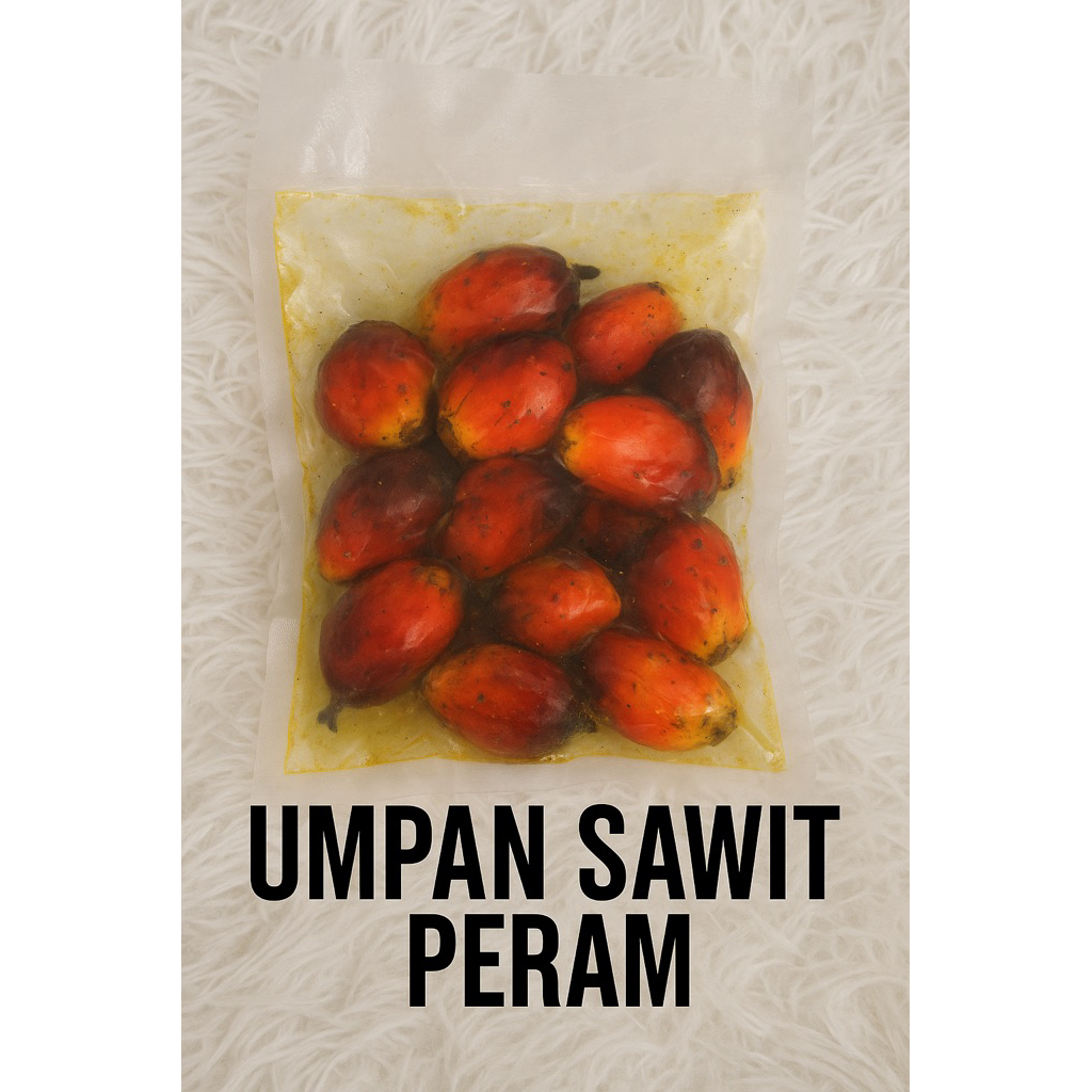 Umpan sawit peram rohu lampam pain