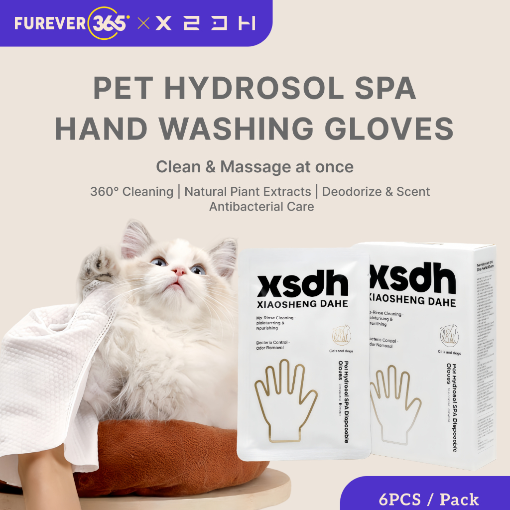 FUREVER365 | สัตว์เลี้ยงทําความสะอาดถุงมือแบบใช้แล้วทิ้ง 6 ชิ้น | ถุงมือกรูมมิ่ง Fruity SPA สําหรับแ