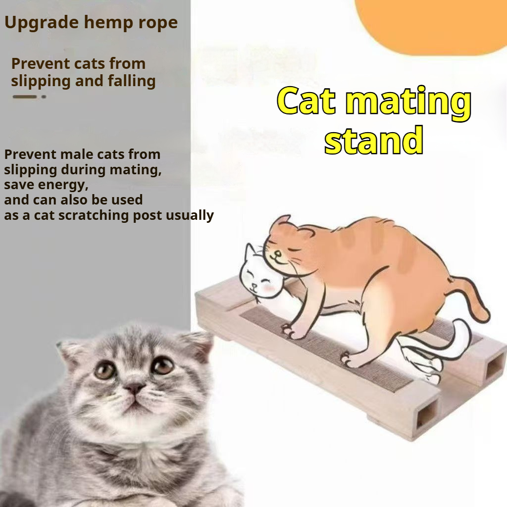 ไม้สั้นหญิง Cat Mating กรอบความสูงสั้นขาแมว Breeding ขาตั้ง Cat Scratcher Board Bingkai Mengwan Kucing