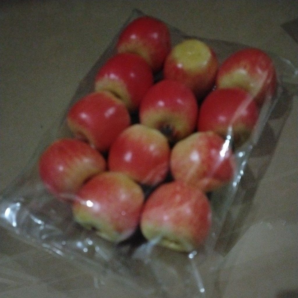 มินิประดิษฐ์ Apple Epal Tiruan Mini Home Deco