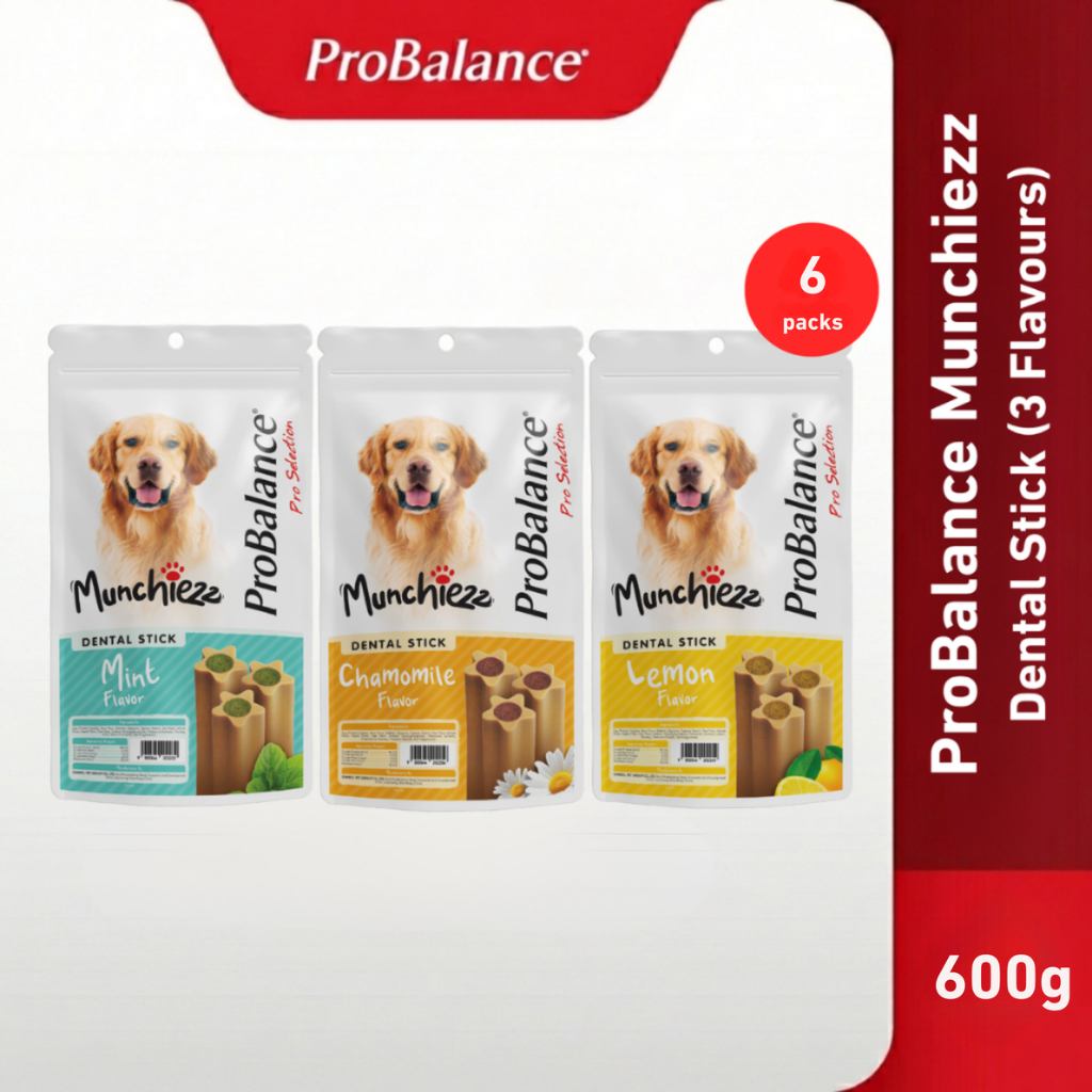 [Bundle Deal] ขนมสุนัข ProBalance Munchiezz Dental Stick 100g x 6 แพ็ค (มิ้นต์ / คาโมมายล์ / เลมอน)