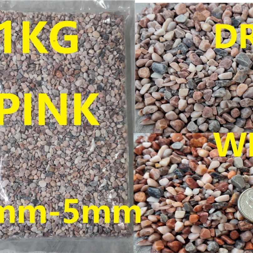 1KG Pebble Stone River Pebble Gardening Landscape Aquarium ตกแต่ง Batu kacang Hiasan White 洗石园艺