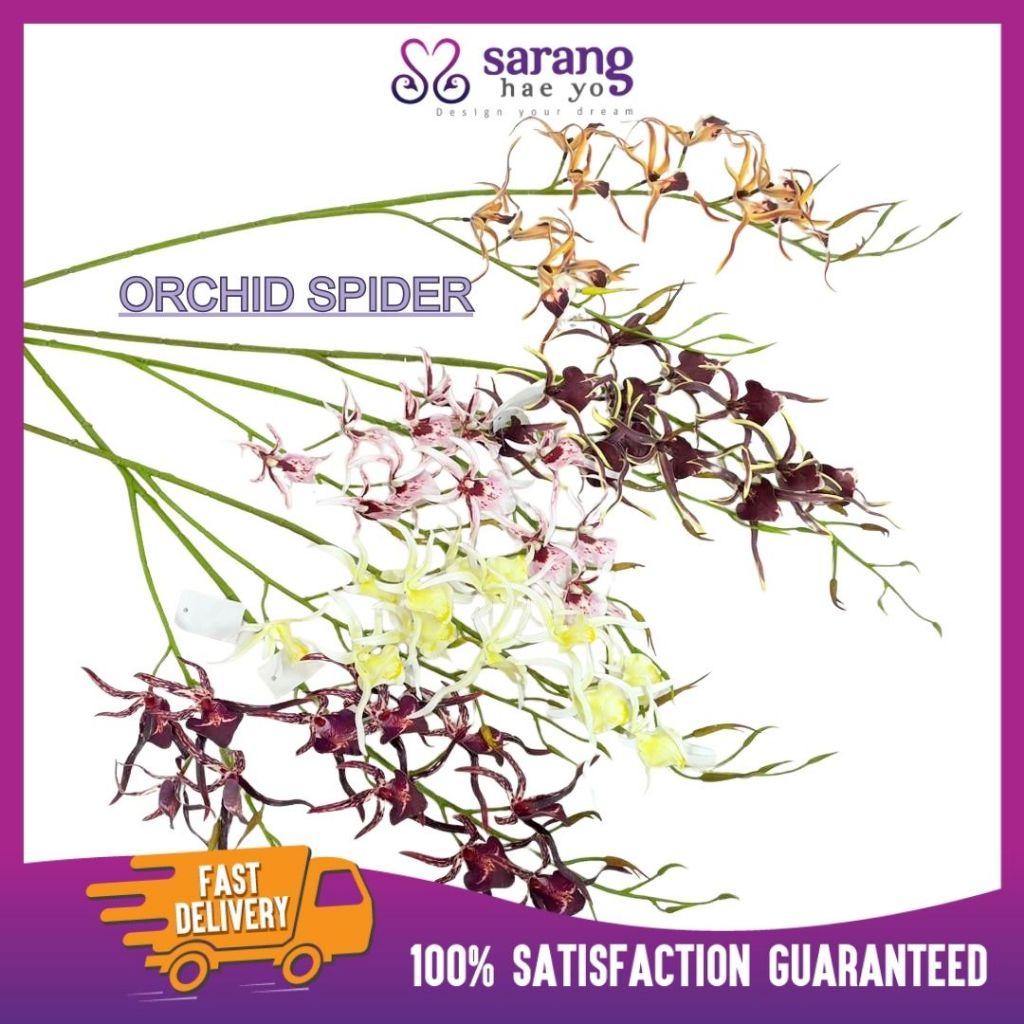 ดอกไม้ Orkid Spider Orkid Tangkai ดอกไม้ประดิษฐ์ 3D Latex Premier Gubahan ดอกไม้ Hiasan