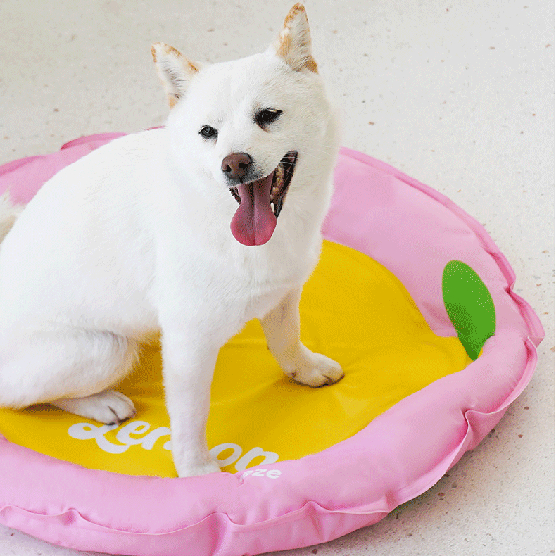 เตียงระบายความร้อน Zeze Lemon