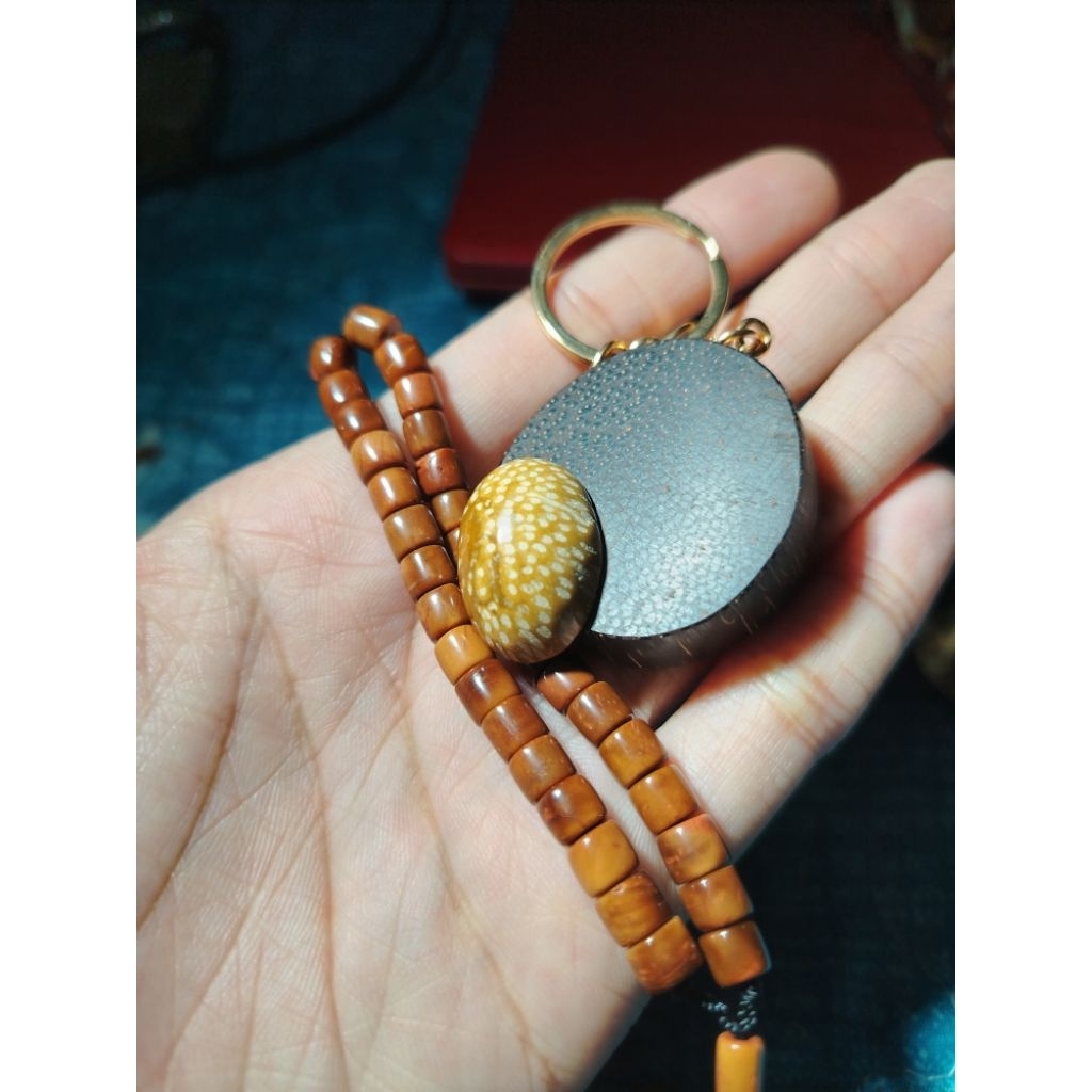 Fossil Nabong Gold Natural Treasure Combo Set ขนาด 5sen-10sen