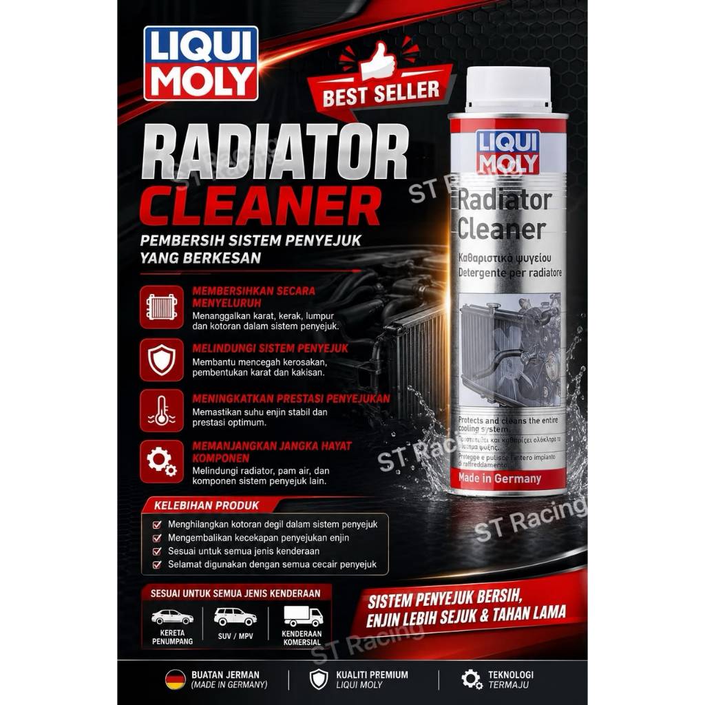 LIQUI MOLY RADIATOR CLEANER (300 ML)
