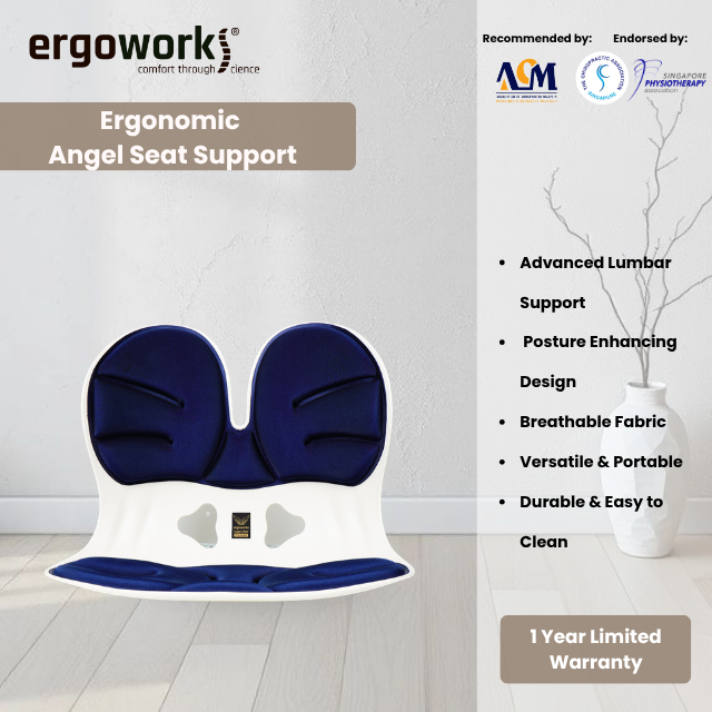 ERGOWORKS Ergonomic Posture Care - POSTURE CORRECTION ANGEL CHAIR