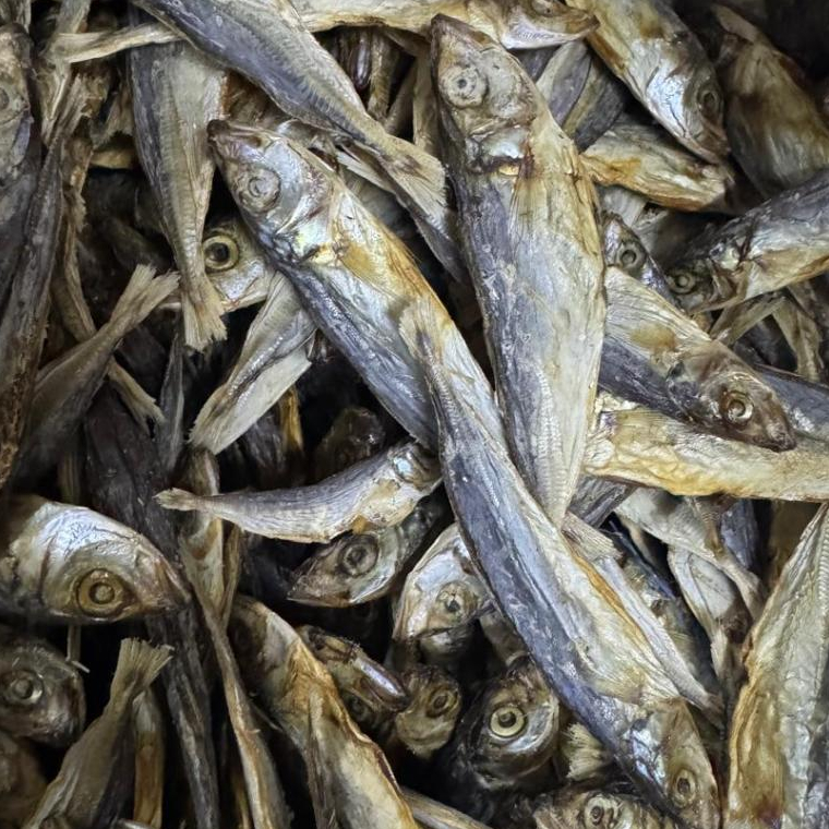 ikan Kering Sardin / ikan asin / Masin Sardin / ikan Rencek
