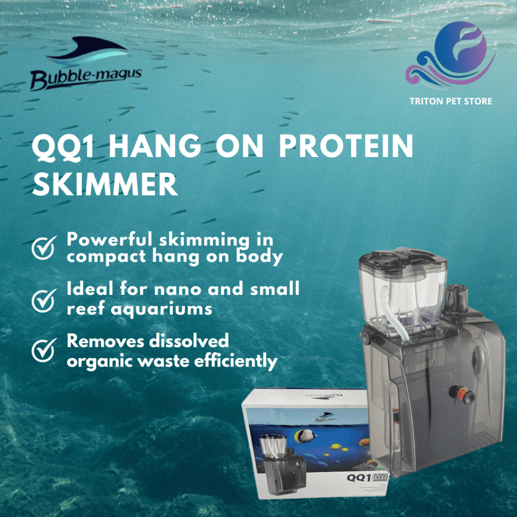 Bubble Magus BM QQ1 Nano Reef Tank Protein Skimmer | Skimmer Akuarium Air Masin | ฝังสีขาว พิมพ์ พิม