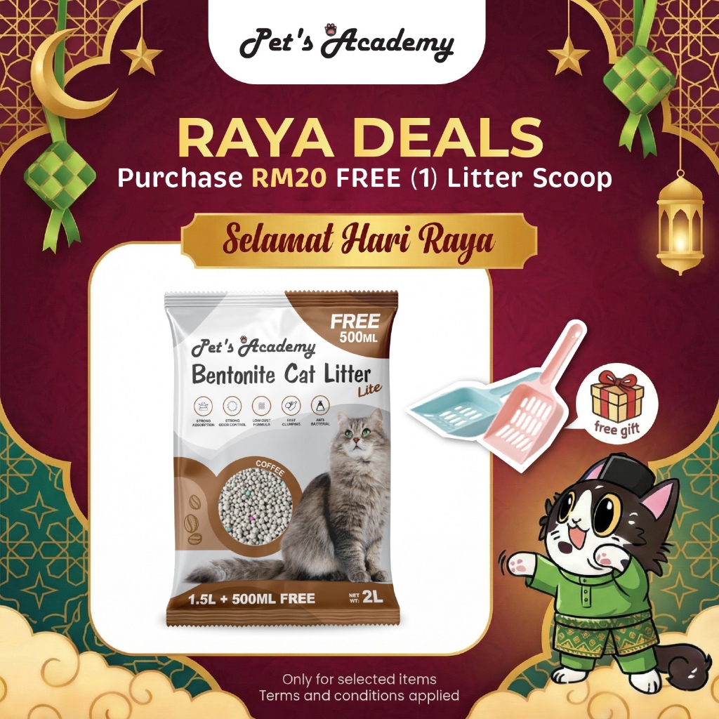 PET KUTUNGS ACADEMY Coffee Bentonite Cat Litter 2L Fast Clumping, Low Dust Coffee Cat Litter, Anti-ก