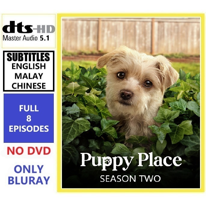 P739 Puppy Place ซีซั่น 2 (2022) [8 EPISODES] (1 DISC) Comedy/Drama Komedi/Drama - Bluray